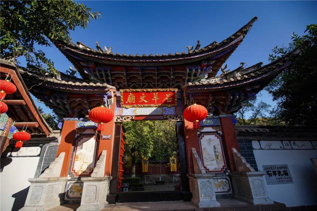 拯救精灵的土地5